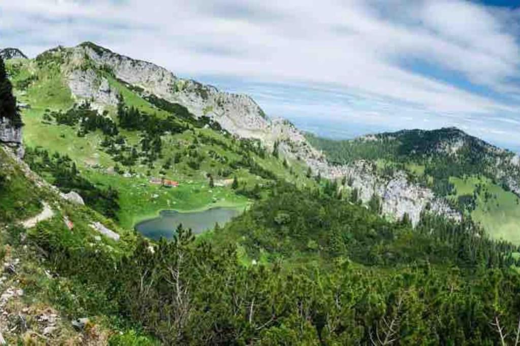 Topmodernes Studio - Sommer Im Bayerischen Inntal ブラネンブルグ エクステリア 写真
