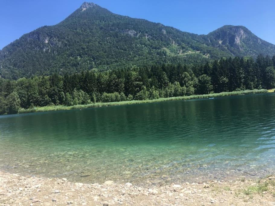 Topmodernes Studio - Sommer Im Bayerischen Inntal ブラネンブルグ エクステリア 写真